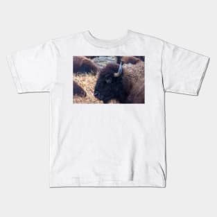 American Bison Woolaroc Oklahoma Kids T-Shirt